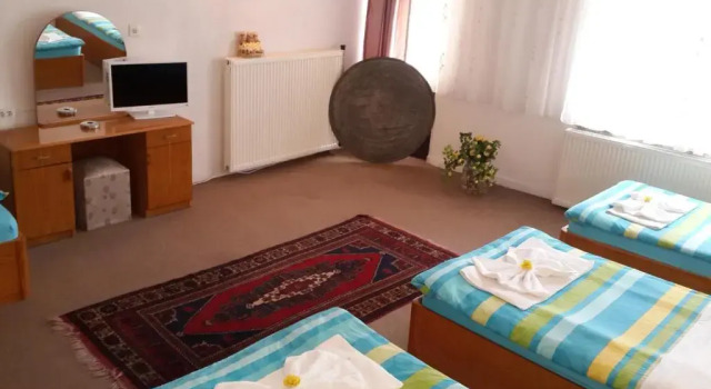 Номер Economy Hotel Ozyel
