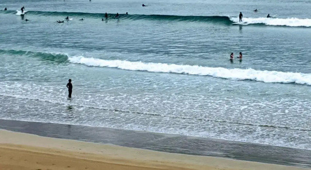 Апартаменты Alice's Palace, 2-minute walk to lifeguard patrolled surf beach