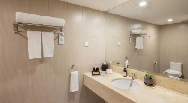 Двухместный номер Deluxe Rocana Hotel