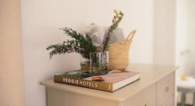 Номер Standard Ecocirer Healthy Stay