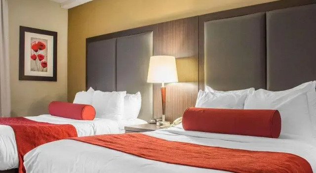 Шестиместный номер Standard Comfort Inn