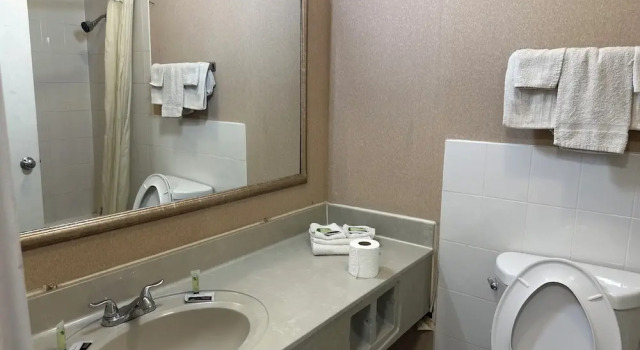 Двухместный номер Standard Airport Inn Flint Airport