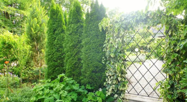 Студия Appartements im Park