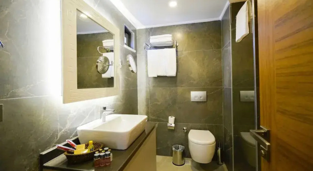 Двухместный люкс Garden Green Beyza Suites