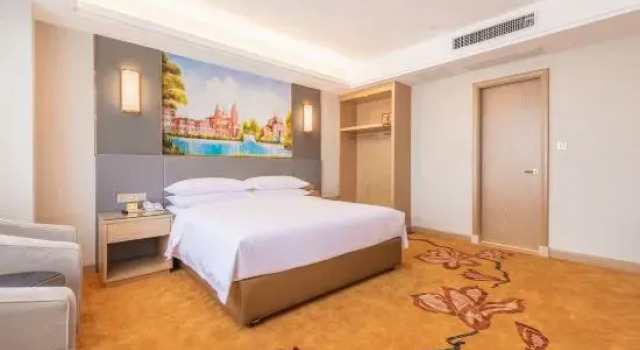 Люкс Vienna International Hotel (Xi'an Chanba Silk Road Convention And Exhibition Center)
