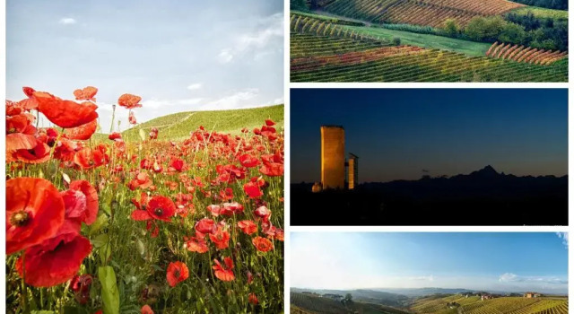 Апартаменты Intera casa con due appartamenti indipendenti e vasca idromassaggio a Barbaresco, Langhe