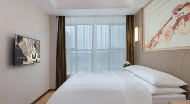 Двухместный люкс Deluxe Vienna International Hotel (Dushan)