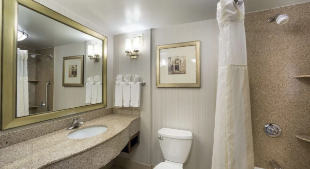 Люкс Hilton Garden Inn Hampton Coliseum Central