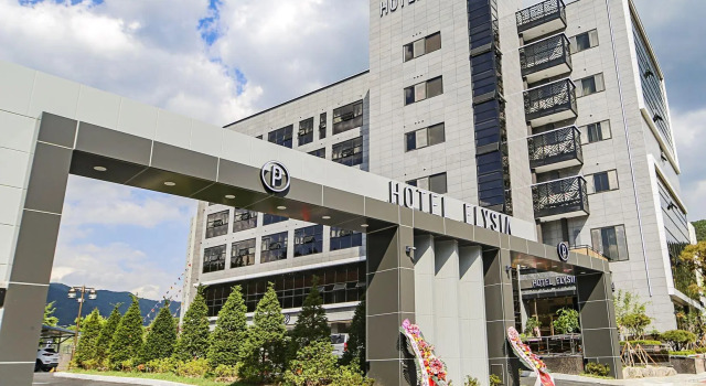 Camera doppia Standard Hotel Elysia Daegu