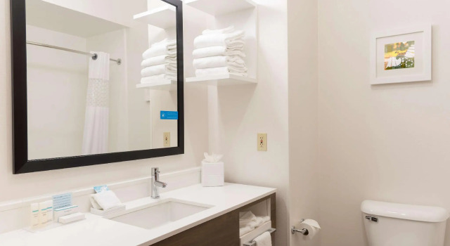 Четырёхместный номер Standard Hampton Inn & Suites East Lansing
