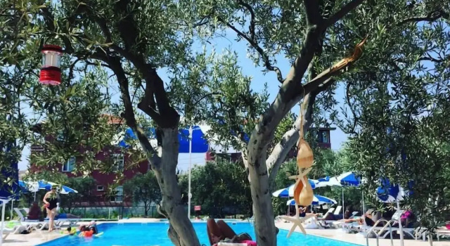 Номер Standard с балконом и с красивым видом из окна Afissia Garden Hotel
