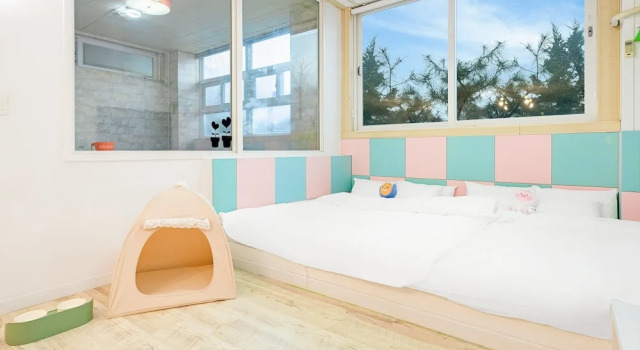 Номер Standard c 1 комнатой Pocheon luxjay pet Pension