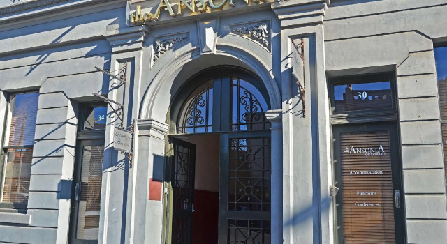 Ansonia on Lydiard