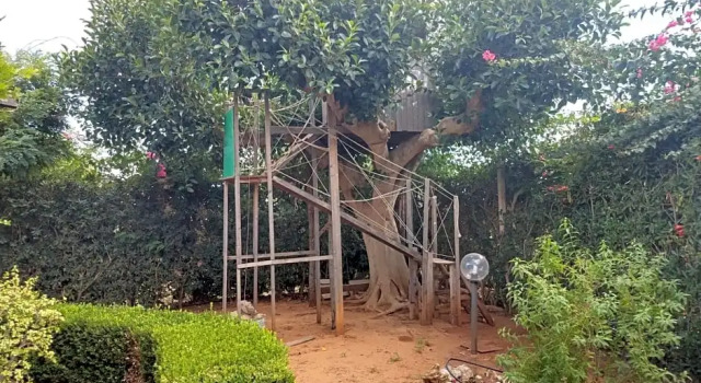 Il gazebo