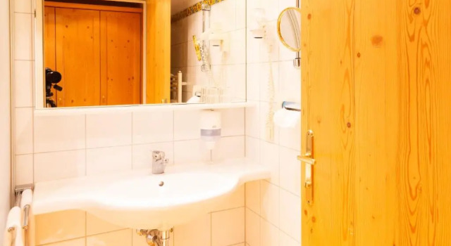 Одноместный номер Hotel Försterhof