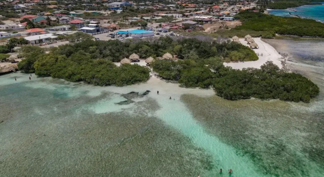 Коттедж 2 min Walk to Ocean - Mangel Halto Aruba
