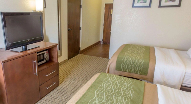 Четырёхместный номер Standard Comfort Inn Hammond