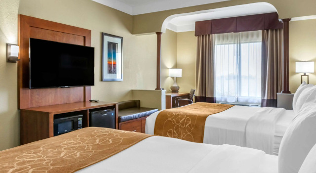 Vierer Suite Comfort Suites Plainview