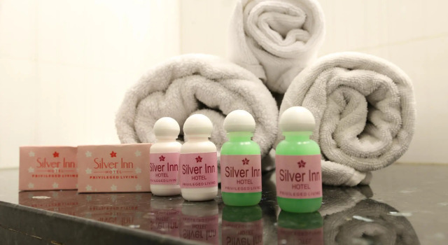Номер Executive Hotel The Silver Inn Mumbai