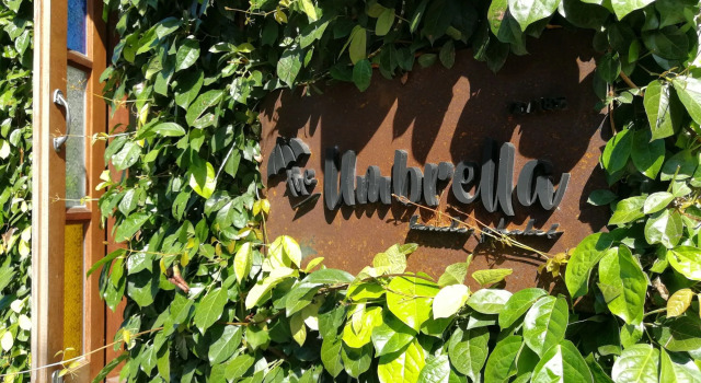 The Umbrella House