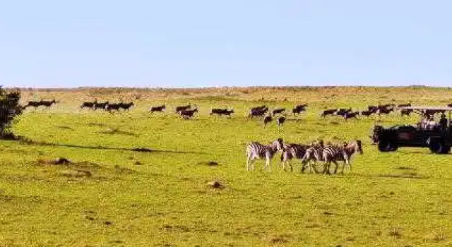 Pollards Inn Hotel, Kwantu Game Reserve, Buchen Sie Hotel Sidbury Ostkap