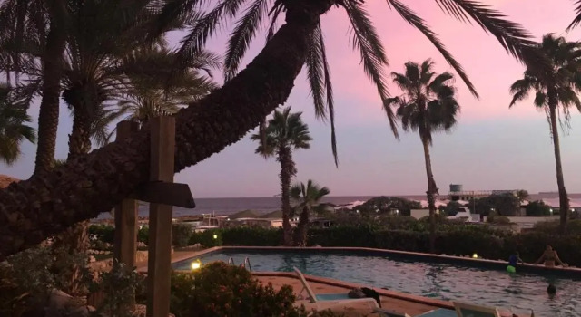 Апартаменты Palms & Pools apartment at Curacao Ocean Resort