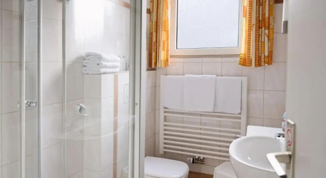 Трёхместный номер Standard Hotel-Pension Am Böhmepark