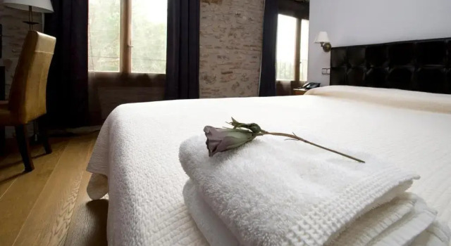 Одноместный номер Standard Hotel Moli De La Torre