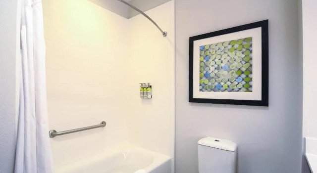 Двухместный люкс Holiday Inn Express Hotel & Suites Tampa-USF-Busch Gardens by IHG