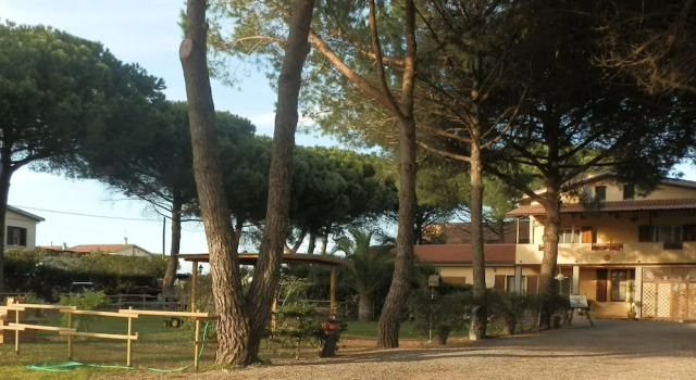 B&B Il Picchio Verde