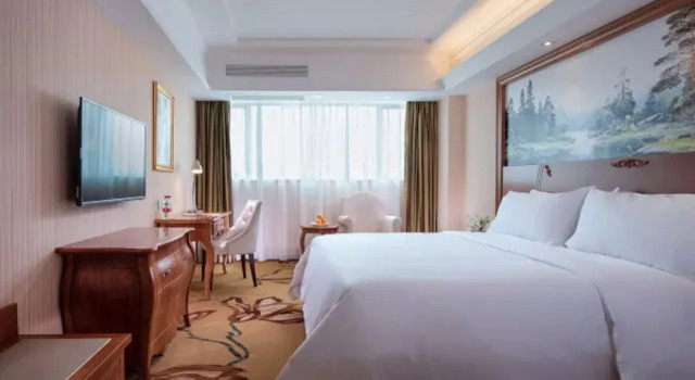 Vienna Hotel (Shenzhen Longgang Xinsheng Metro Station Branch)