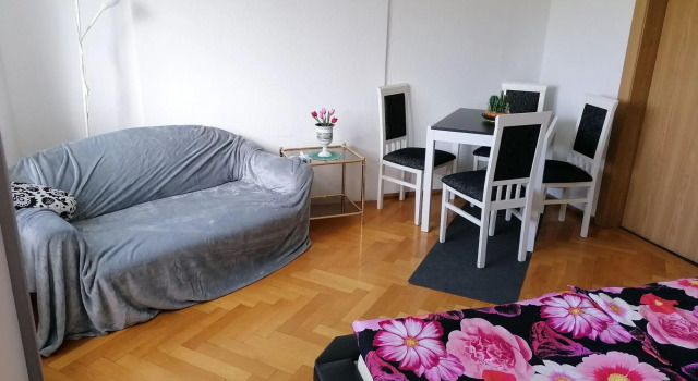 Cozy Apartment Near Ski, Prenota Appartamento Muldenhammer Sassonia