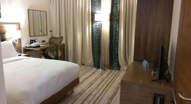 Двухместный номер Hilton Garden Inn Erzincan