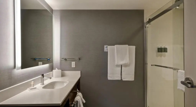Двухместный люкс Residence Inn by Marriott New Orleans French Quarter Area/Cen B