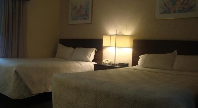Номер Deluxe Travelodge by Wyndham Bracebridge