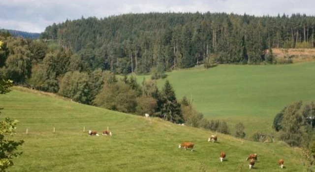 Landgasthof Berghof, Reserva ahora Hotel Hoteles en Baden-Wurtemberg con piscina, Piscina
