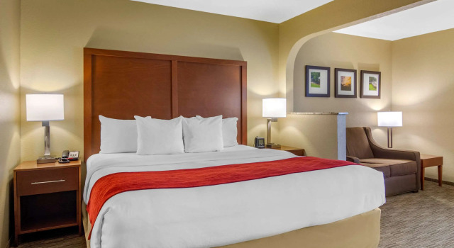 Двухместный номер Standard Comfort Inn & Suites LaGrange East