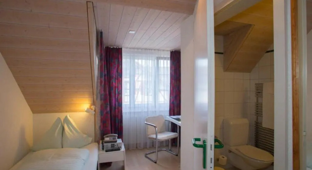 Одноместный номер Seminarhotel Linde Stettlen