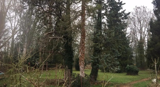 Коттедж Gîte Vigneraie