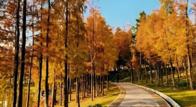 Taishan Xinfuhua Homestay, Rezerwuj Hotel Hotele w Jiangmen z parkingiem, Parking