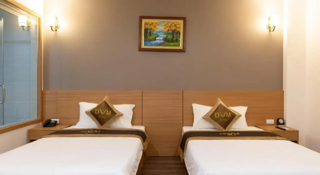 Двухместный номер Standard BVM HOTEL
