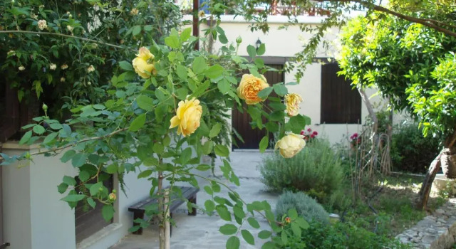 Студия Vasilion Agrotourism