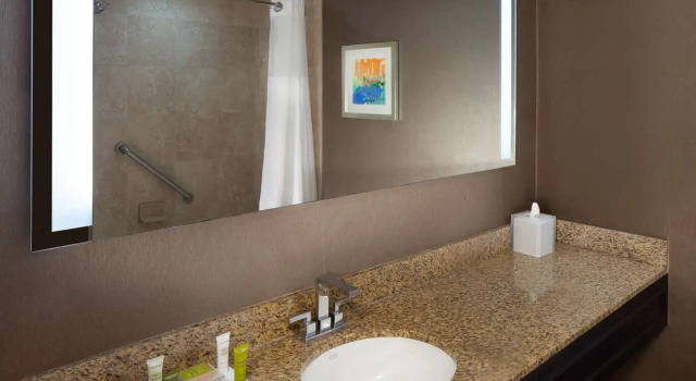 Номер Deluxe Hilton St. Petersburg Bayfront