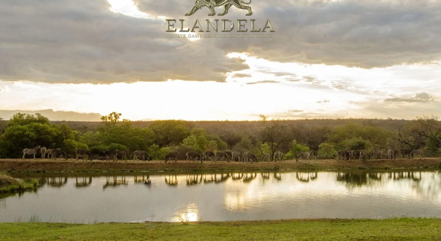Люкс Elandela Private Game Reserve & Luxury Lodge