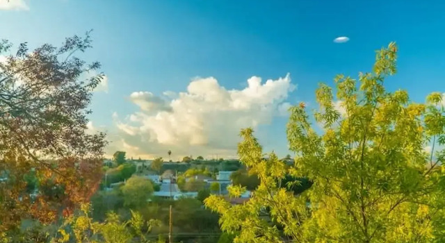 Коттедж Cozy Comfort LA House With Stunning Scenic Views