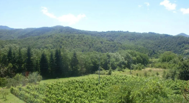 Номер Standard Agriturismo Il Bardellino