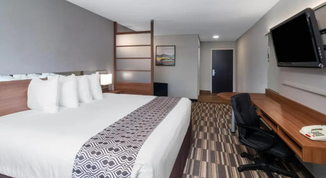 Номер Standard Microtel Inn & Suites by Wyndham Savannah/Pooler