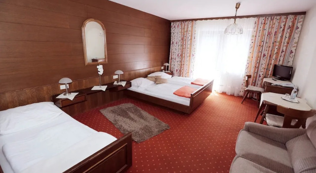 Номер Standard Hotel Rennsteig