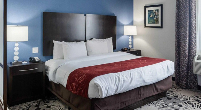 Двухместный люкс Comfort Suites Greenville