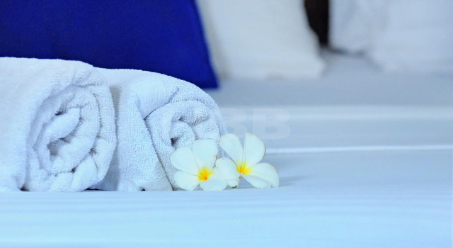 Четырёхместный номер Deluxe рядом с пляжем Harmony Beach Bungalows
